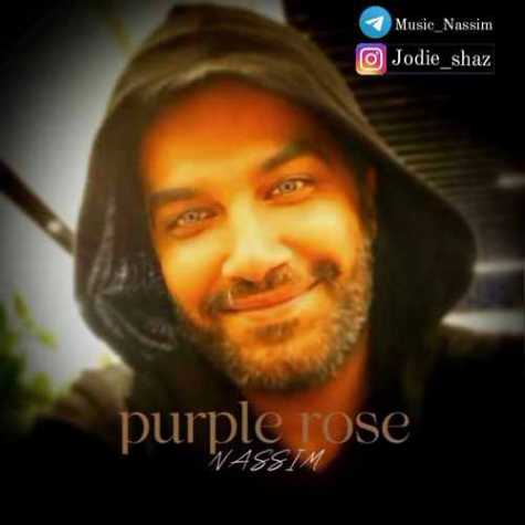 nassim purple 2022 11 19 12 10