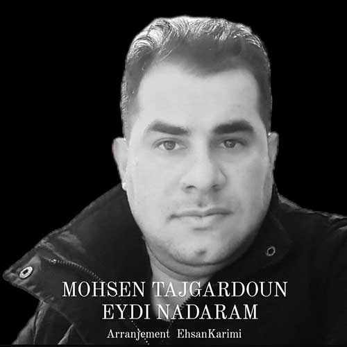 mohsen tajgardoun eydi nadaram 2023 02 16 22 50