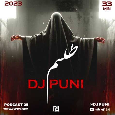 dj puni telesm 2023 03 17 20 50