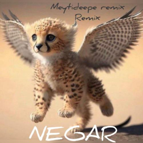 meyti deepe negar remix 2023 03 02 17 30