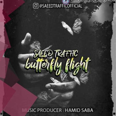 saeed traffic butterfly flight 2023 08 27 19 10