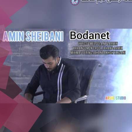 amin sheibani bodanet 2023 10 09 20 30