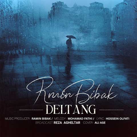 ramin bibak deltang 2024 01 20 11 38