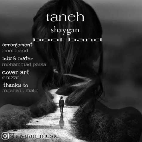 shaygan taneh 2024 01 27 09 59