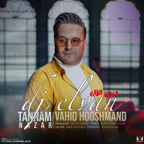 vahid hooshmand tanham nazar dj elvan remix 2024 01 21 08 22