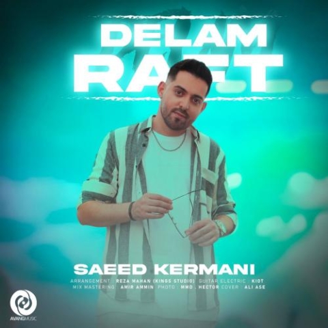 saeed kermani delam raft 2024 06 09 17 57