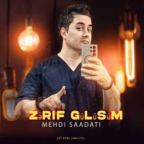 mehdi saadati zerif gulusum 2024 08 28 16 48