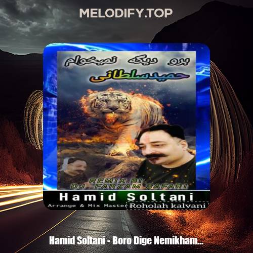 hamid soltani boro dige nemikham dj farzam safari remix 2025 01 15 17 44