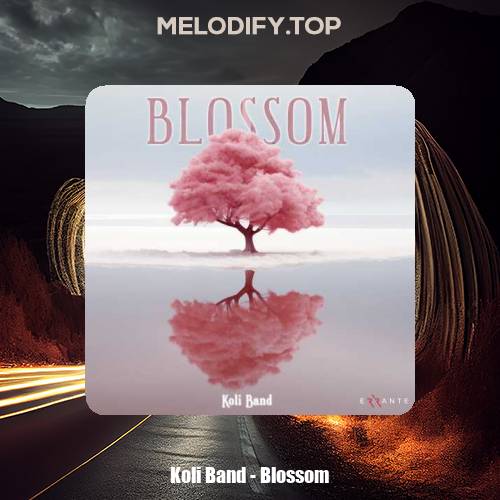 koli band blossom 2025 02 11 08 59