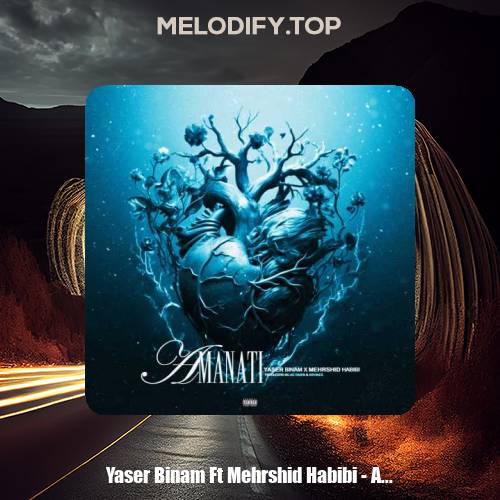 yaser binam ft mehrshid habibi amanati 2025 02 11 16 50